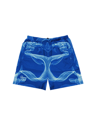 GIVOVA PRJCT short