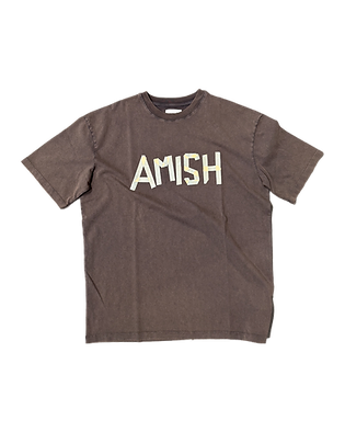 AMISH logo